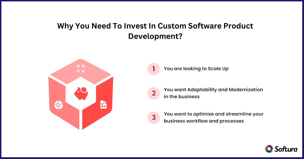 Why to invest in Software development company